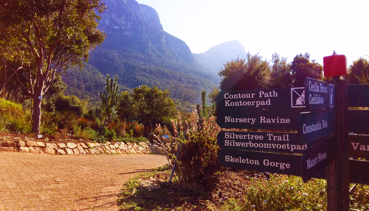 Südafrika: Wanderparadies mit über 1.000 Routen – Western Cape Tipps