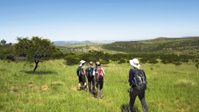 Zu Fuß durch Savanne und Wüste: TUI Wanderreisen in Südafrika und Namibia